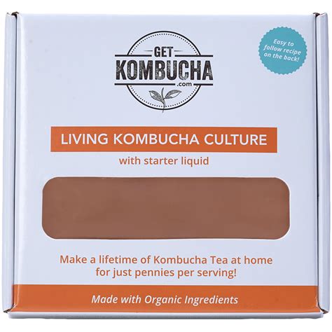 Kombucha Culture (SCOBY) w/ Free Starter Liquid – GetKombucha