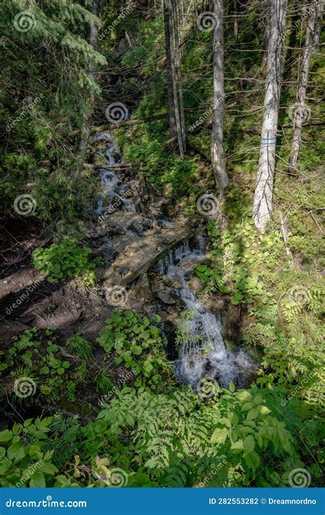 Mickiewicz Waterfalls Tatra National Park Polish Tatra Mountains