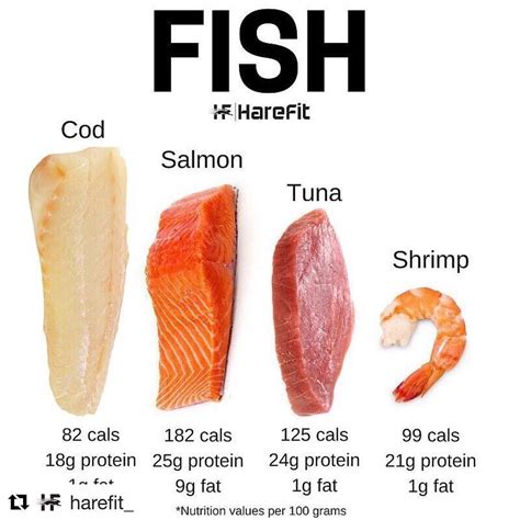 Fish Meal Protein Sources at Elaine Williford blog