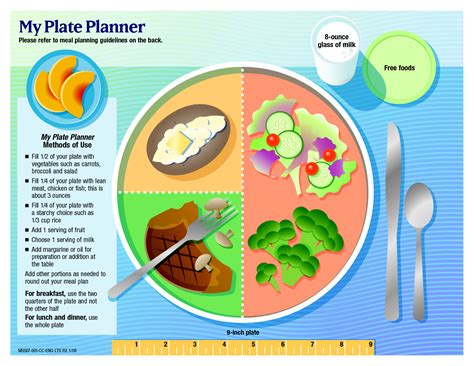 Portion Size Guide Pdf Guide Bizguru