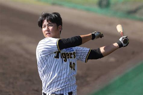 阪神・井坪陽生は打力アップに懸命 岡田監督に秋季キャンプでアピールを！ サンスポ