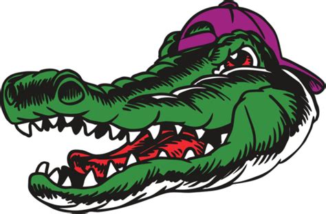 Florida Gators Logo Vector Graphic A Lineal Icon Depicting Florida