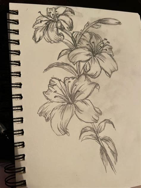 Easy Art And Drawing Ideas Flower Drawing Sketchbook Art Inspiration