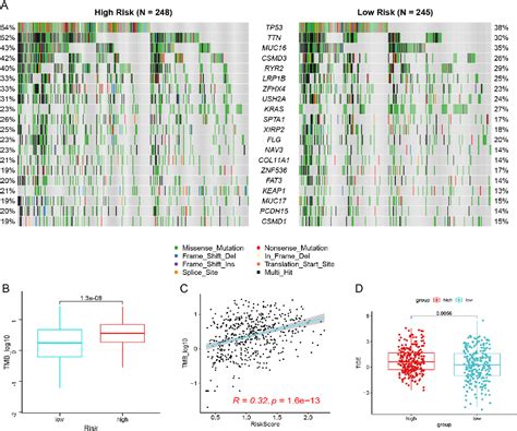 Figure From Identification Of Lung Adenocarcinoma Subtypes And A