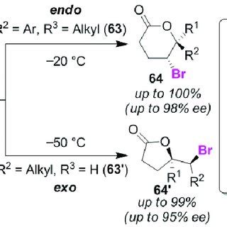 Endo Exo Selective Chloro Amino Cyclization Reactions Of Olefinic