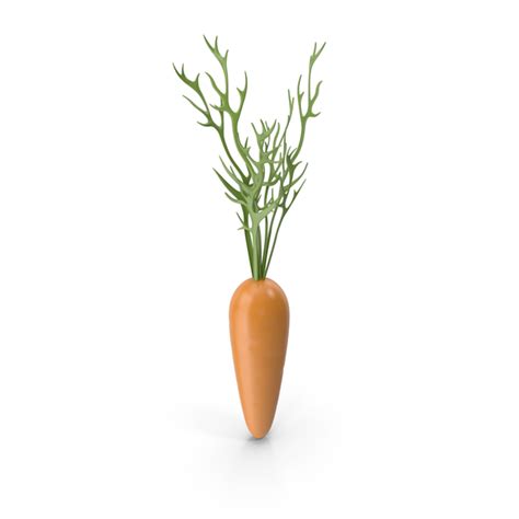 Cartoon Carrot PNG Images & PSDs for Download | PixelSquid - S122564801
