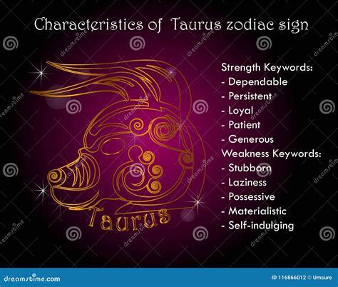 Characterestics Of Taurus Zodiac Sign Stock Vector Illustration Of