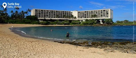 Snorkeling Turtle Bay Kuilima Cove, Oahu - Hawaii