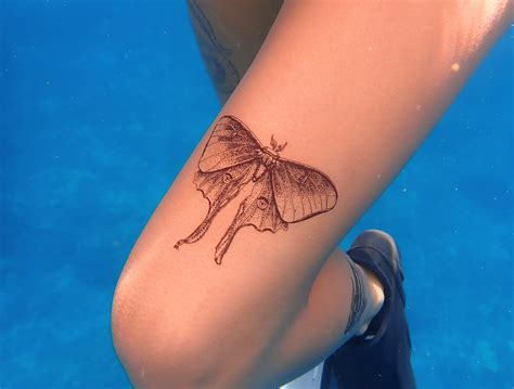 White Moth Tattoo