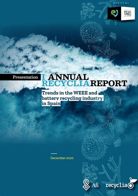 Calaméo Informe Recyclia 2021 Ingles