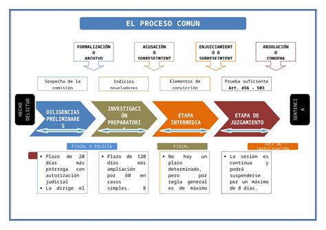 Docx Esquemas Del Proceso Penal Dokumentips