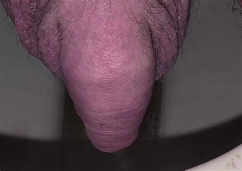 I Urgently Needed To Pee Gay Amateur Amateur Porn Feat Maximark XHamster