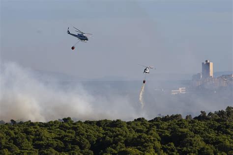 Detenido El Presunto Autor De Los Incendios En El Saler Val Ncia