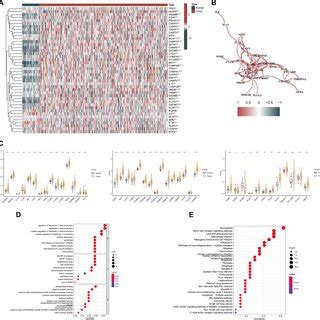 Differential Expressions Of Prgs And Their Interaction A C The