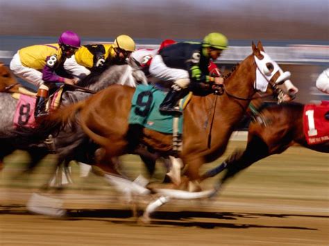 🔥 50 Kentucky Derby Wallpapers Wallpapersafari
