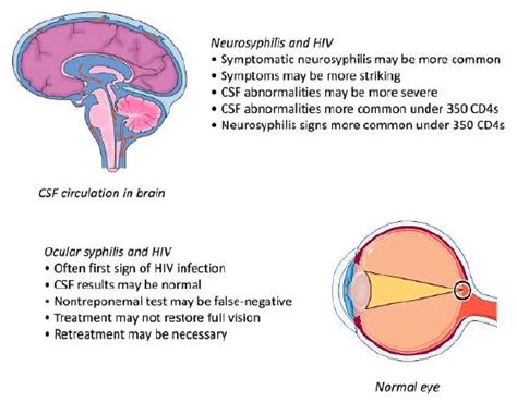 Slowing Resurgent Syphilis In People With Hiv