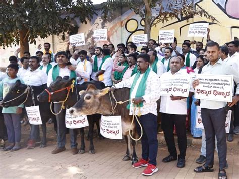 Congress Govt Is Anti Cow Bjp Stages Protest In Bengaluru