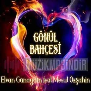 Elvan Günaydın Adın Tövbe Mp3 İndir Dinle Mp3 İndir Dur