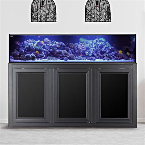 Nuvo Fusion Pro Sr Gallon Aio Aquarium Black Aps Stand