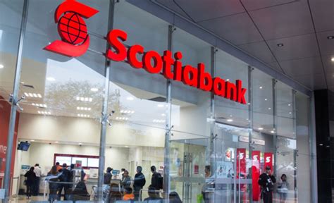 Scotiabank Per No Distribuir Dividendos De Sus Utilidades Del