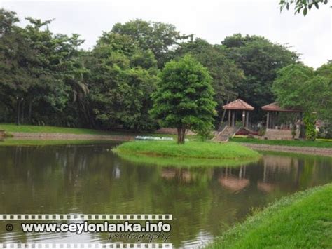 Gampaha Henarathgoda Botanical Garden Mal Watta