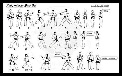 10+ Tang soo do ideas | tang soo do, tang, korean martial arts