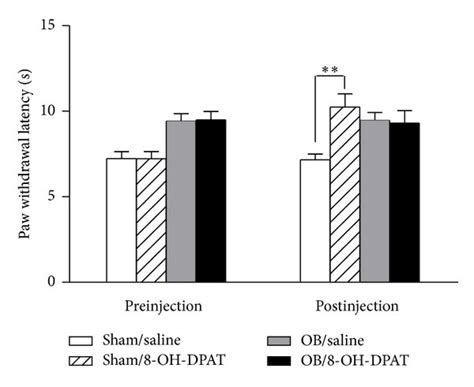 Effects Of Acute Administration Of 8 Oh Dpat Acute 8 Oh Dpat Treatment