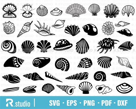 42 Shell Svg Files Seashell Svg Clipart Clam Svg Scallop Etsy Uk