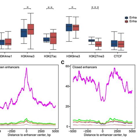 Enhancers Correlate With Both Active And Repressive Chromatin States A