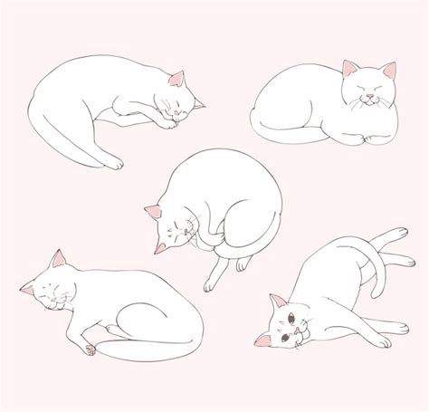 Premium Vector Cute White Cat Lies In Different Positions Set Of Cat