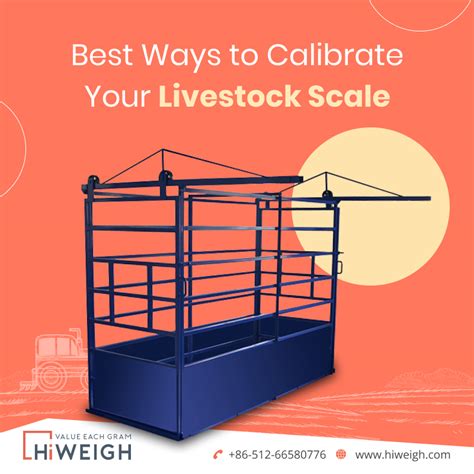 Top 10 Tips For Properly Calibrating Your Livestock Scale