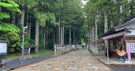 雨が降って、肌寒い高野山です。｜高野山法徳堂空海と高野山の魅力を独自の視点で伝えています。