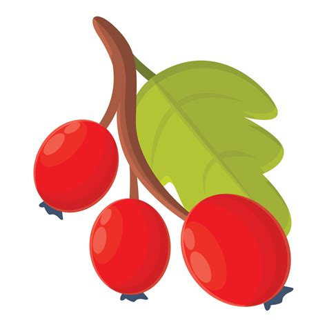 Hawthorn Plant Icon Cartoon Style 14340734 Vector Art At Vecteezy