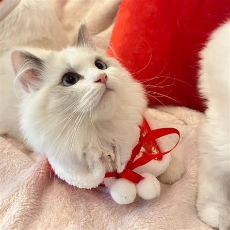 ️taki Takioo On Threads