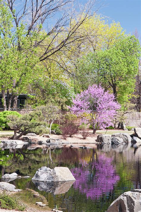 Usa Co Denver Denver Botanic Gardens Photograph By Trish Drury Pixels