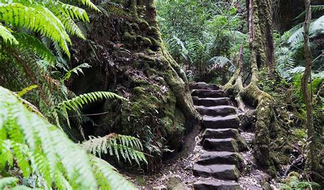 Grand Canyon Track Nsw National Parks Atelier Yuwaciaojp