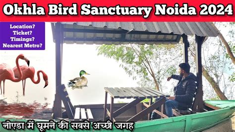 Okhla Bird Sanctuary Noida Okhla Bird Sanctuary Delhi Okhla Bird