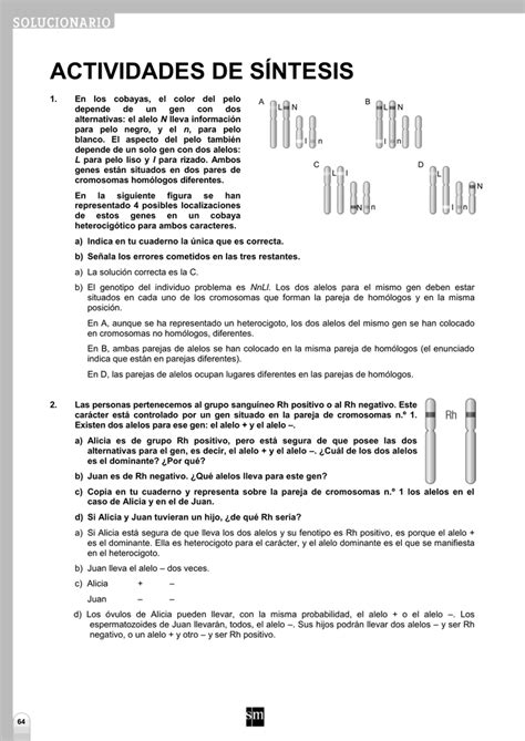 Actividades De SÍntesis