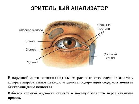 Слезное озеро - 81 фото