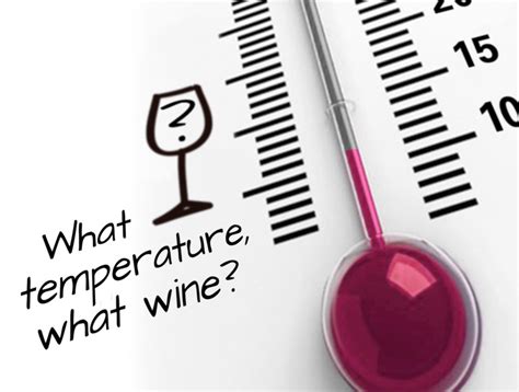 What Temperature Should I Serve My Wine A Guide