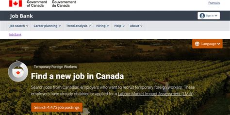 Lmia Approved Jobs In Canada Here Is How To Find One