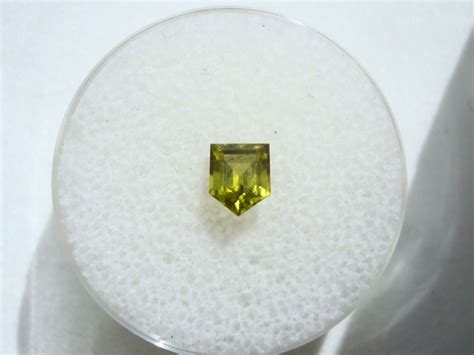 Facetedadmiremeteoriteperidot57ct