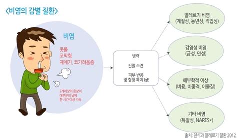 알레르기 비염 증상 원인 네이버 블로그