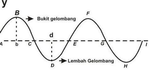 Macam Macam Gelombang Beserta Dan Jenis Jenis Dan Contohnya Mobile