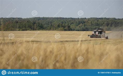 Cosechadora Combinada Que Trabaja En Un Campo De Trigo Foto De Archivo