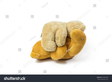 Couple Lover Teddy Bear Set Sex Stock Photo Shutterstock