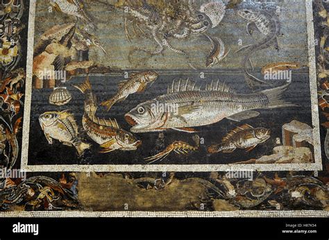 Mosaico Romano Con Peces Marinos Desde Pompeya La Casa Del Fauno