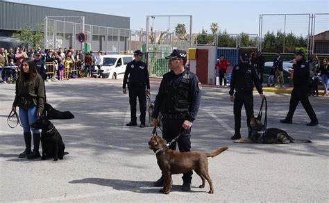 Seis Unidades Caninas Policiales Demuestran Su Destreza En La