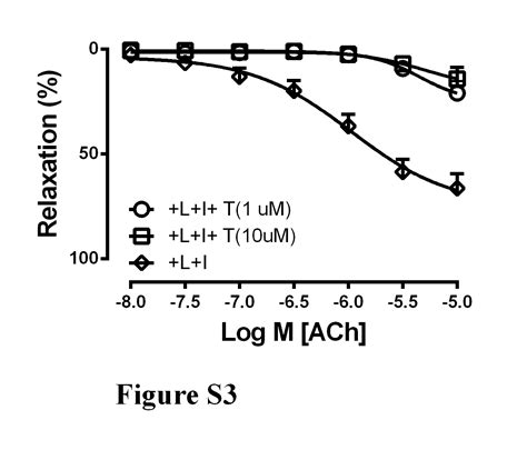 Endothelium Dependent Hyperpolarization Related Relaxations Diminish