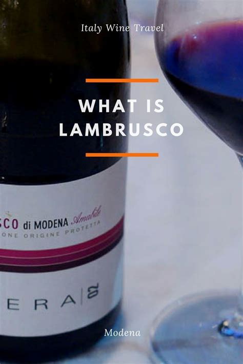 What Is Lambrusco Wine Italian Lambrusco Wine How To Drink Lambrusco